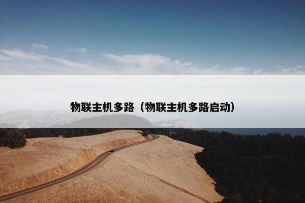 物联主机多路（物联主机多路启动）