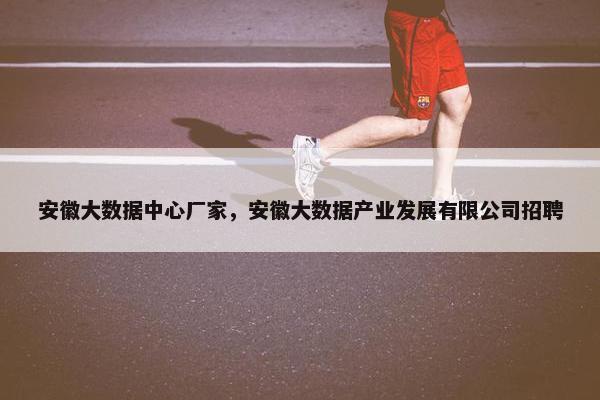 安徽大数据中心厂家，安徽大数据产业发展有限公司招聘