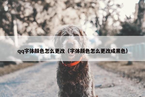 qq字体颜色怎么更改（字体颜色怎么更改成黑色）