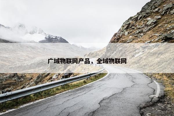 广域物联网产品，全域物联网
