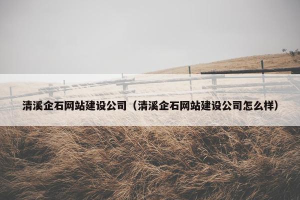 清溪企石网站建设公司（清溪企石网站建设公司怎么样）