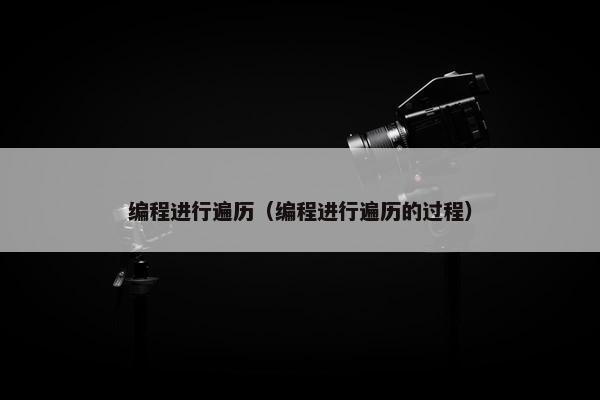 编程进行遍历（编程进行遍历的过程）