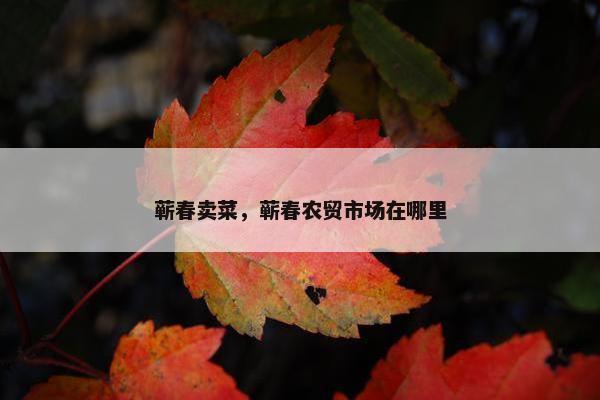 蕲春卖菜，蕲春农贸市场在哪里