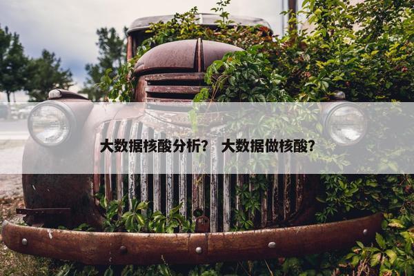 大数据核酸分析？ 大数据做核酸？