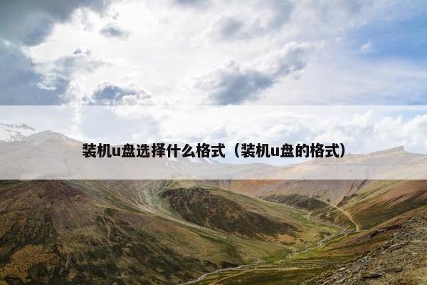装机u盘选择什么格式（装机u盘的格式）