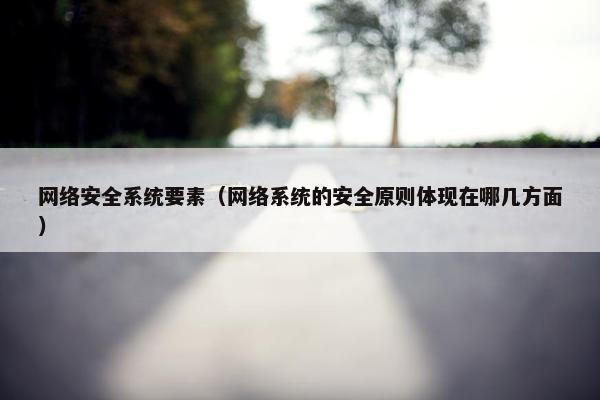 网络安全系统要素（网络系统的安全原则体现在哪几方面）