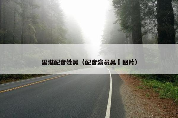 里谁配音姓吴（配音演员吴晛图片）
