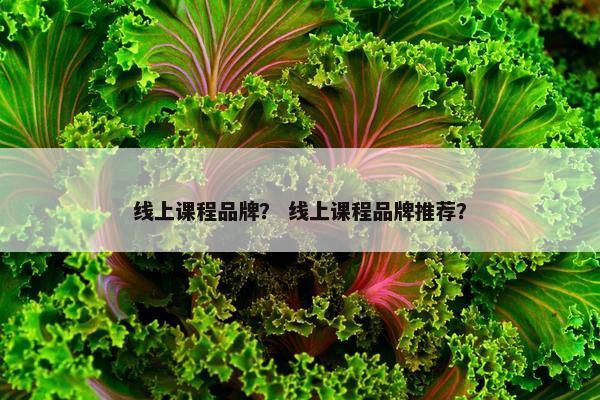 线上课程品牌？ 线上课程品牌推荐？