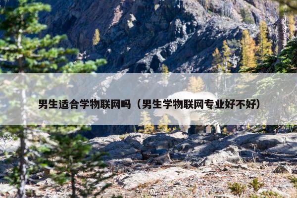 男生适合学物联网吗（男生学物联网专业好不好）