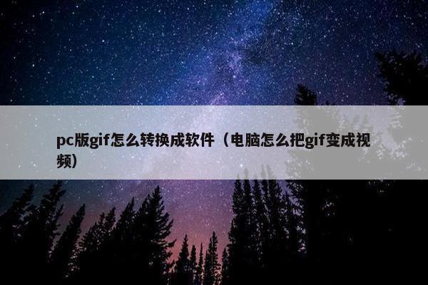 pc版gif怎么转换成软件（电脑怎么把gif变成视频）