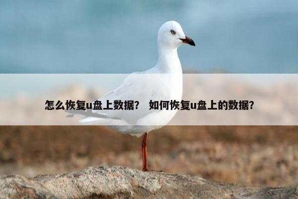 怎么恢复u盘上数据？ 如何恢复u盘上的数据？