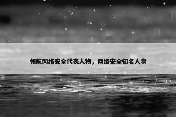 领航网络安全代表人物，网络安全知名人物