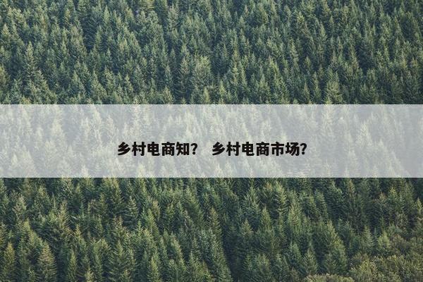 乡村电商知？ 乡村电商市场？