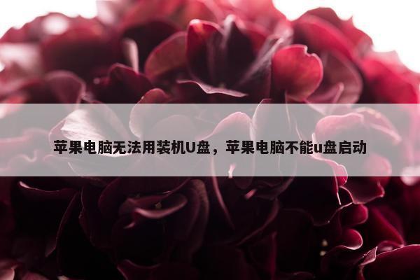 苹果电脑无法用装机U盘，苹果电脑不能u盘启动
