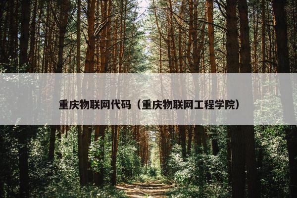 重庆物联网代码（重庆物联网工程学院）