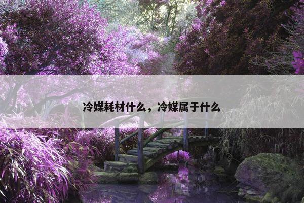 冷媒耗材什么，冷媒属于什么