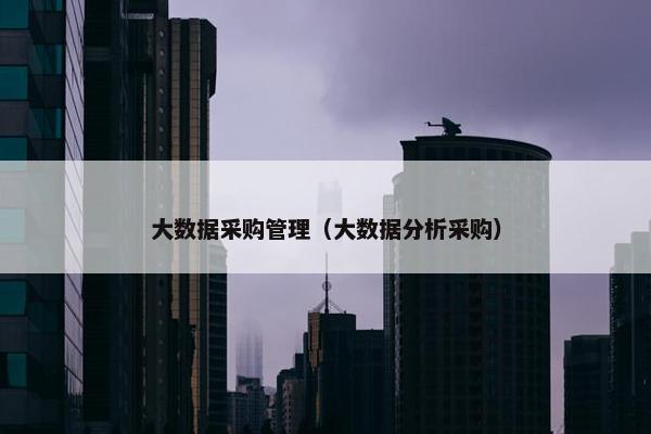 大数据采购管理（大数据分析采购）