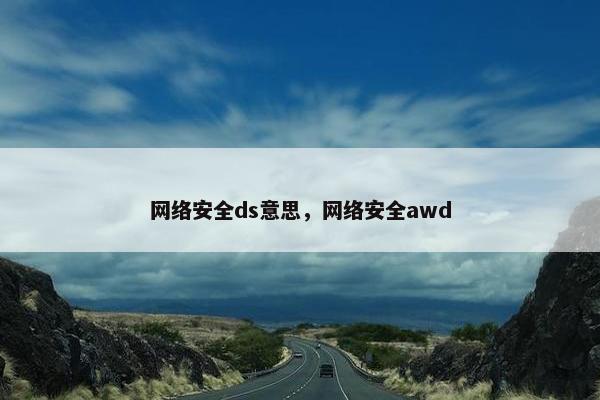 网络安全ds意思，网络安全awd