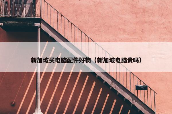 新加坡买电脑配件好物（新加坡电脑贵吗）