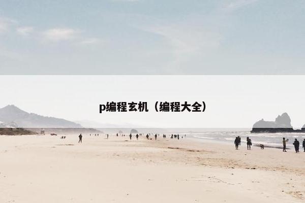 p编程玄机（编程大全）