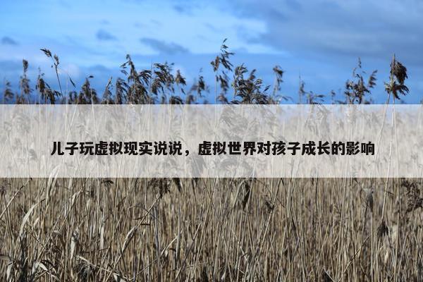 儿子玩虚拟现实说说，虚拟世界对孩子成长的影响