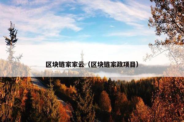 区块链家家云（区块链家政项目）