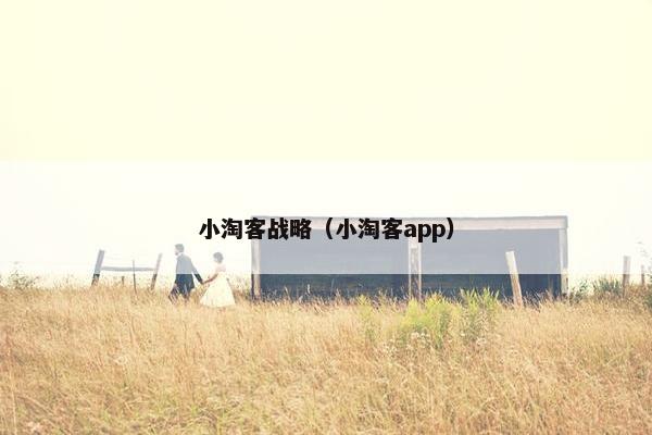 小淘客战略（小淘客app）