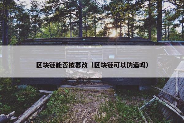 区块链能否被篡改（区块链可以伪造吗）