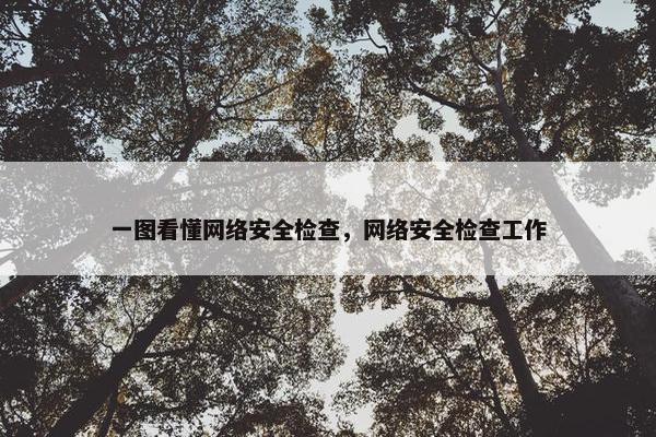 一图看懂网络安全检查，网络安全检查工作