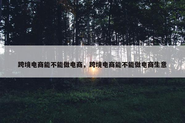 跨境电商能不能做电商，跨境电商能不能做电商生意