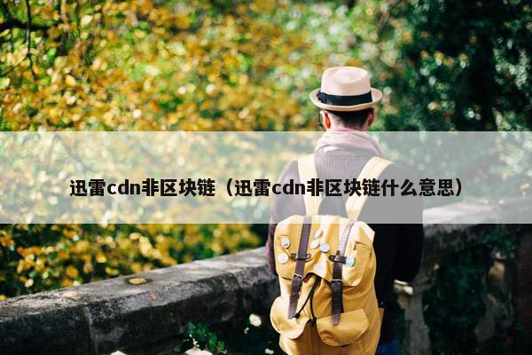 迅雷cdn非区块链（迅雷cdn非区块链什么意思）