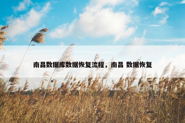 南昌数据库数据恢复流程，南昌 数据恢复