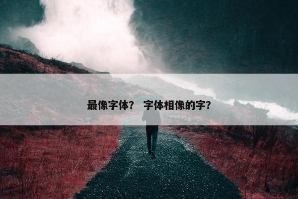 最像字体？ 字体相像的字？