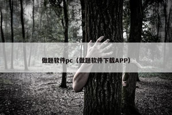 做题软件pc（做题软件下载APP）