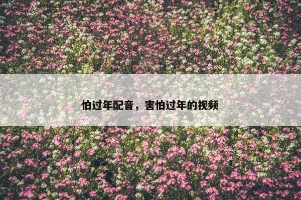 怕过年配音，害怕过年的视频