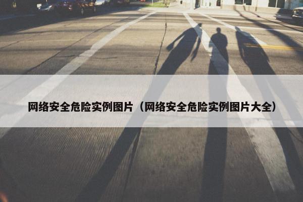 网络安全危险实例图片（网络安全危险实例图片大全）