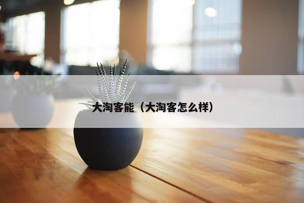 大淘客能（大淘客怎么样）