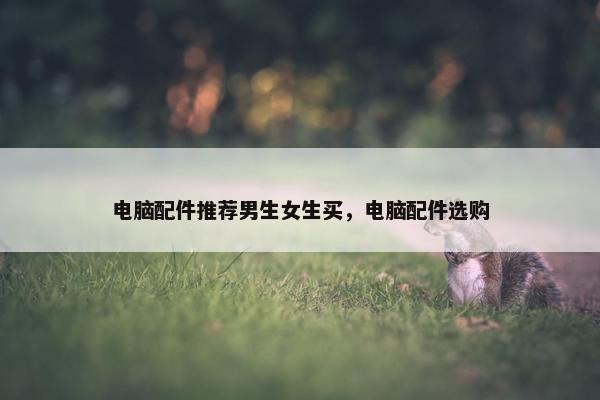 电脑配件推荐男生女生买，电脑配件选购