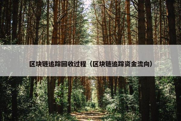 区块链追踪回收过程（区块链追踪资金流向）