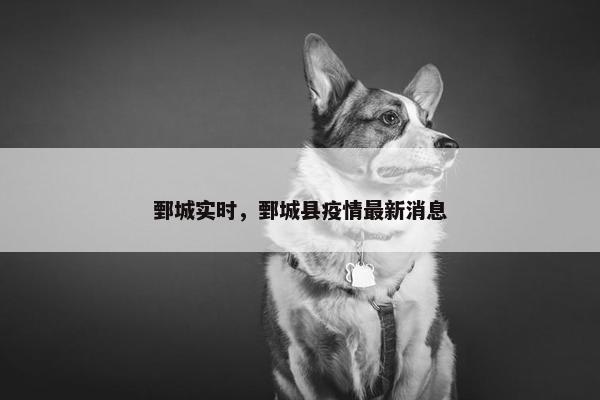 鄄城实时，鄄城县疫情最新消息
