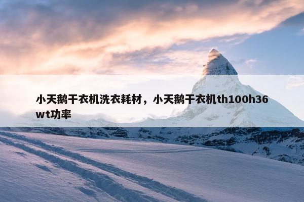 小天鹅干衣机洗衣耗材，小天鹅干衣机th100h36wt功率