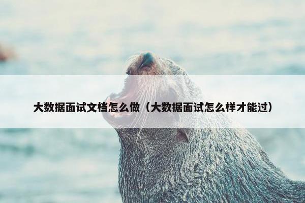 大数据面试文档怎么做（大数据面试怎么样才能过）