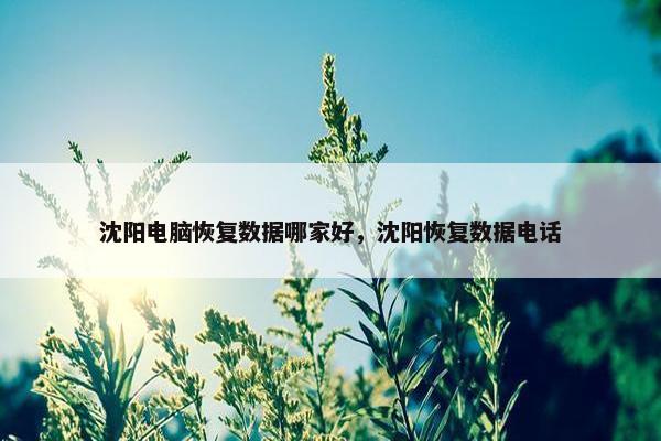 沈阳电脑恢复数据哪家好，沈阳恢复数据电话