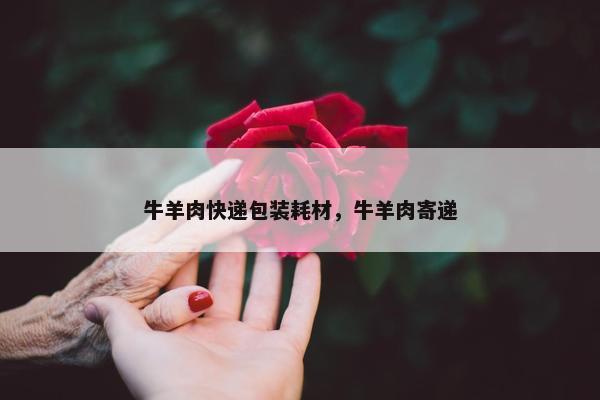 牛羊肉快递包装耗材，牛羊肉寄递