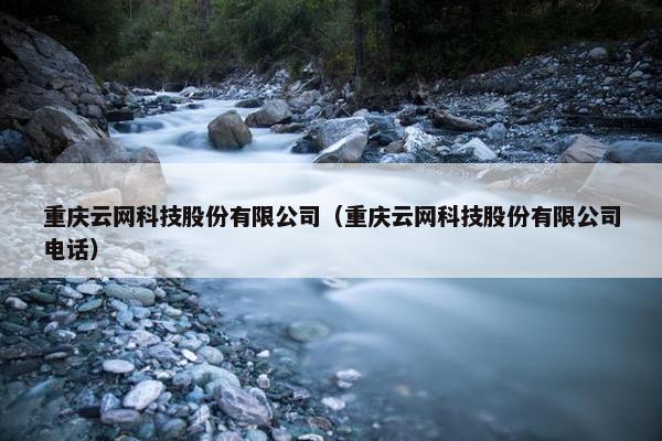 重庆云网科技股份有限公司（重庆云网科技股份有限公司电话）