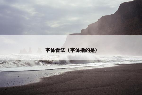 字体看法（字体指的是）