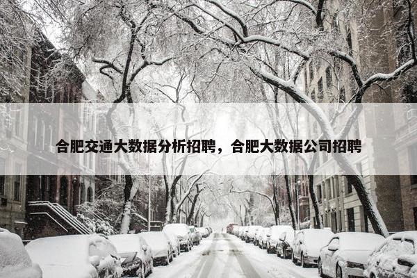 合肥交通大数据分析招聘，合肥大数据公司招聘