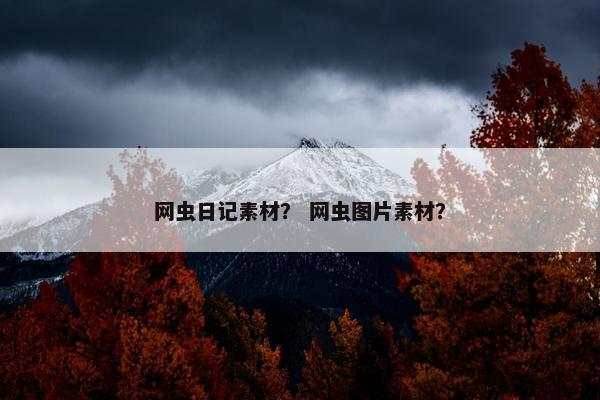 网虫日记素材？ 网虫图片素材？