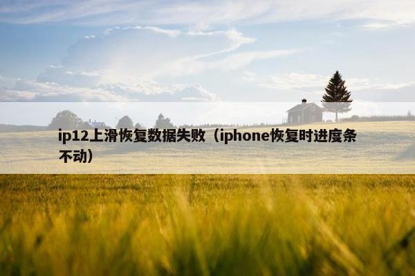 ip12上滑恢复数据失败（iphone恢复时进度条不动）