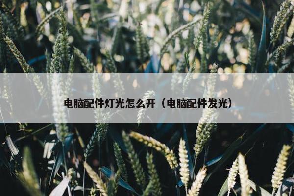 电脑配件灯光怎么开（电脑配件发光）